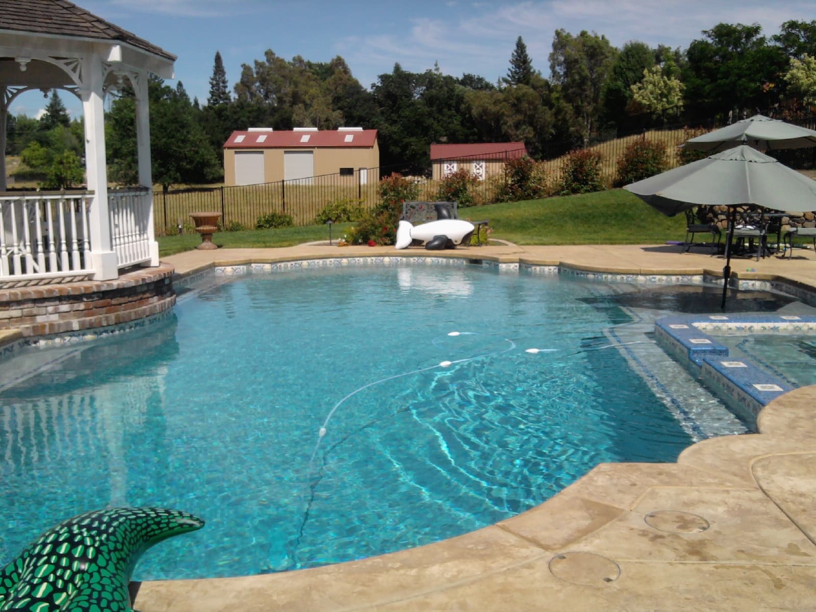Weekly Pool Cleaning photo 1